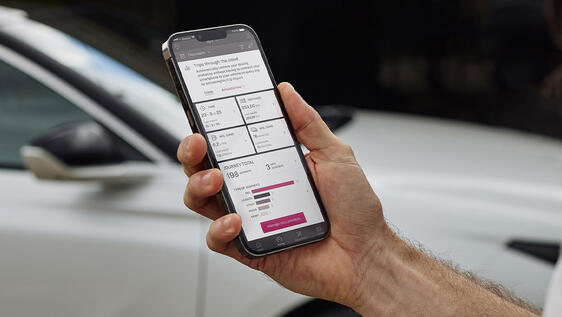 MY TRIP REPORT MY TRIP REPORT