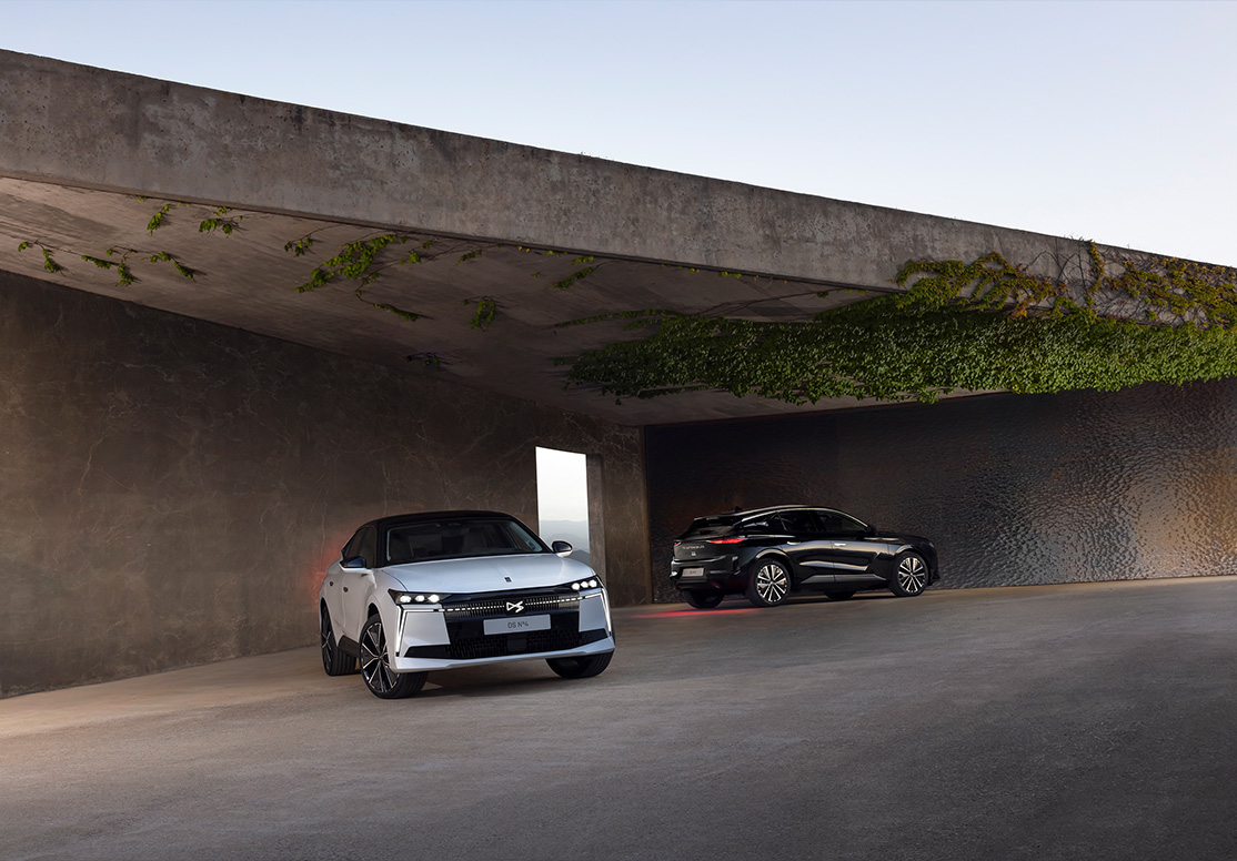 FREE YOUR MIND FREE YOUR MIND